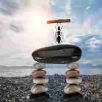 脚﻿本﻿是‍什​么‌工﻿作​